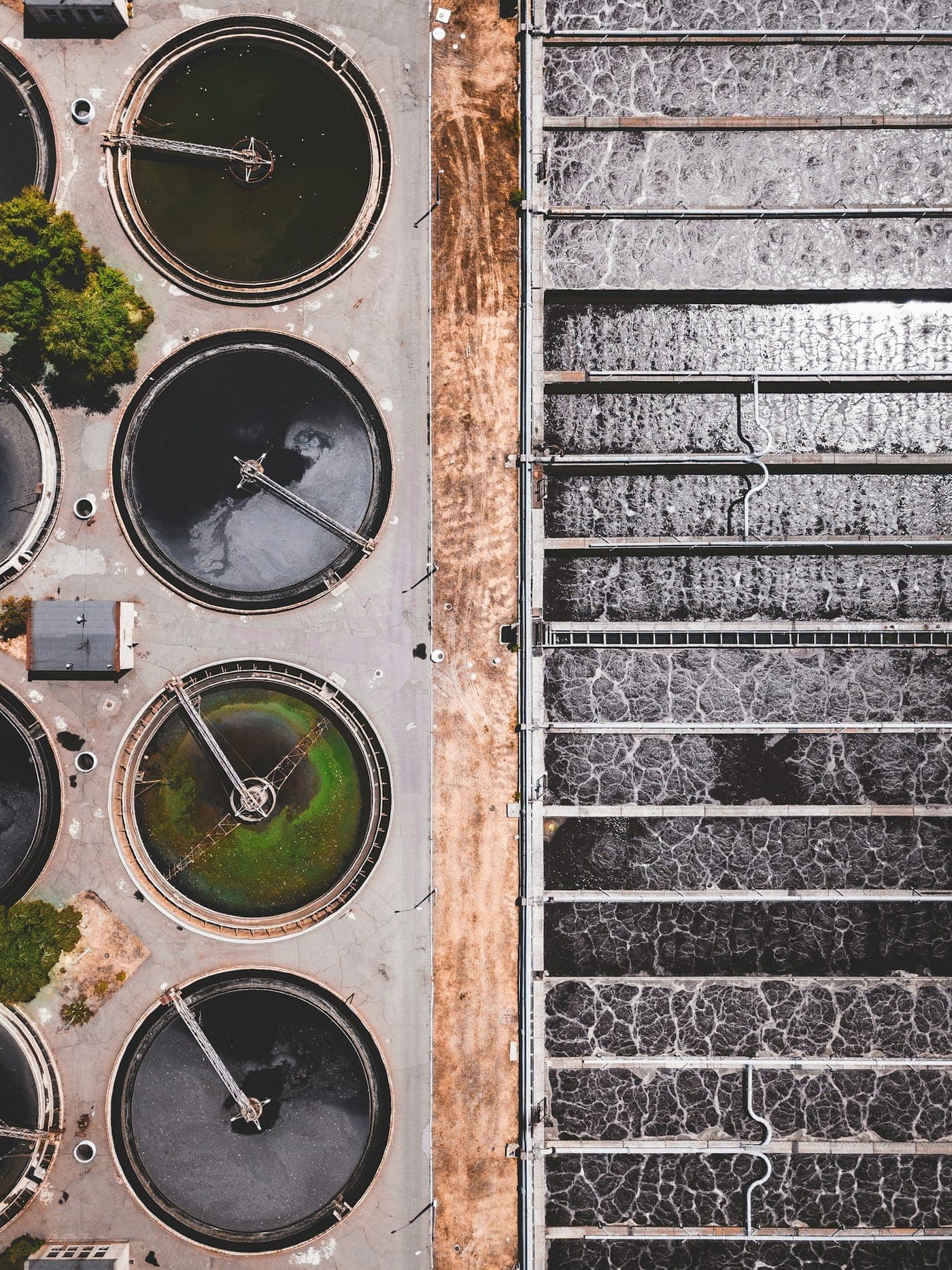 Pharmaceutical-grade water treatment plant skid on a commissioning floor